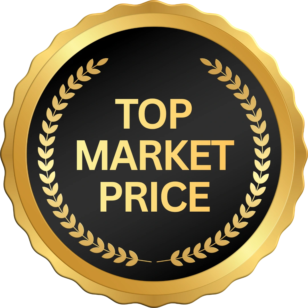 Highest market price for gold today